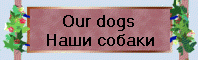 Our dogs
мЮЬХ ЯНАЮЙХ
